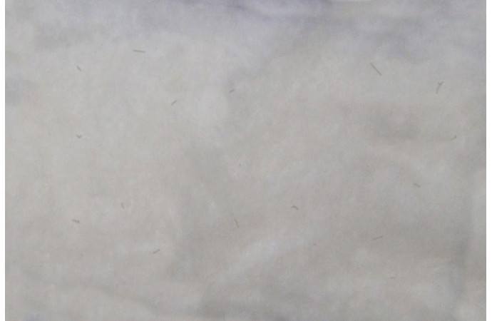 Balts Jaunzēlandes vilnas kāršējums ēku siltināšanai 