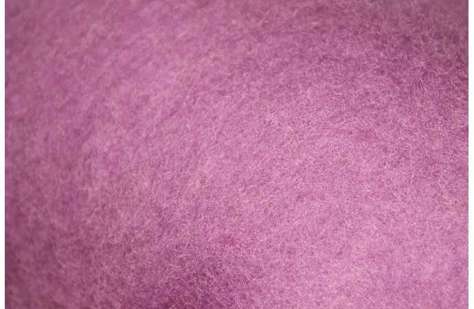 Gaiši violetas krāsas kārsums 