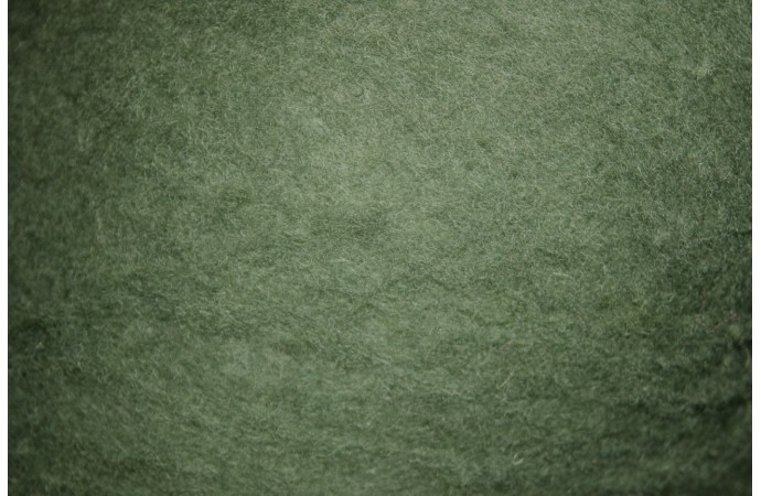 Zaļganas krāsas kārsums 