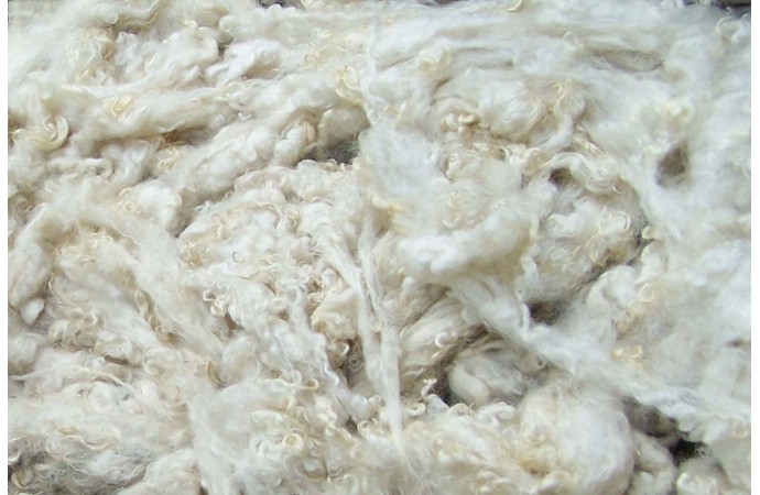 Nekārsta vilna pildīšanai